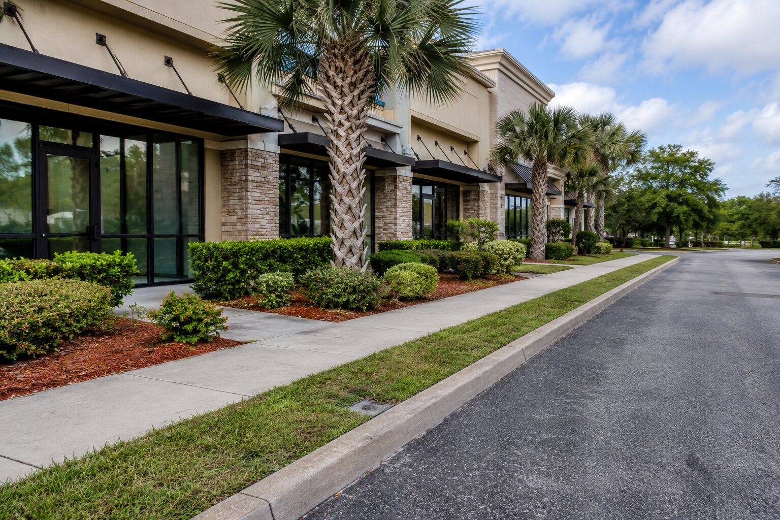 Landscaped Jacksonville storefronts with palms, trimmed shrubs, lawn, and clean walks